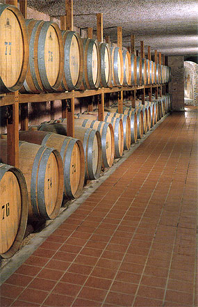 Tenuta di Colonna - Barricaia